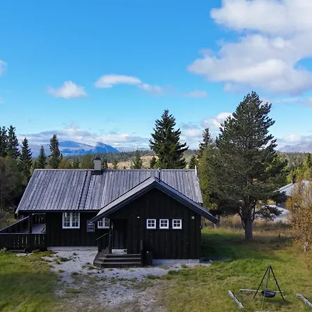 Fjellkos, Mountain In Semesterbostad *