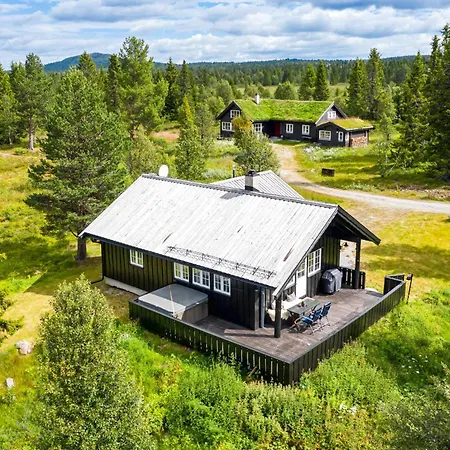 Nyaraló Fjellkos, Mountain In *