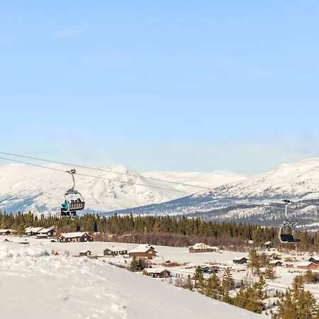 Fjellkos, Mountain In *
