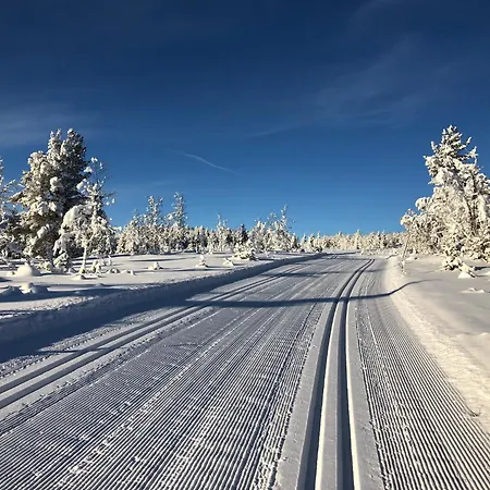 Fjellkos, Mountain In *