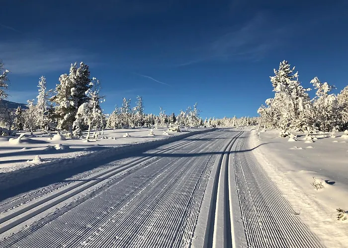 Fjellkos, Mountain In Gol *